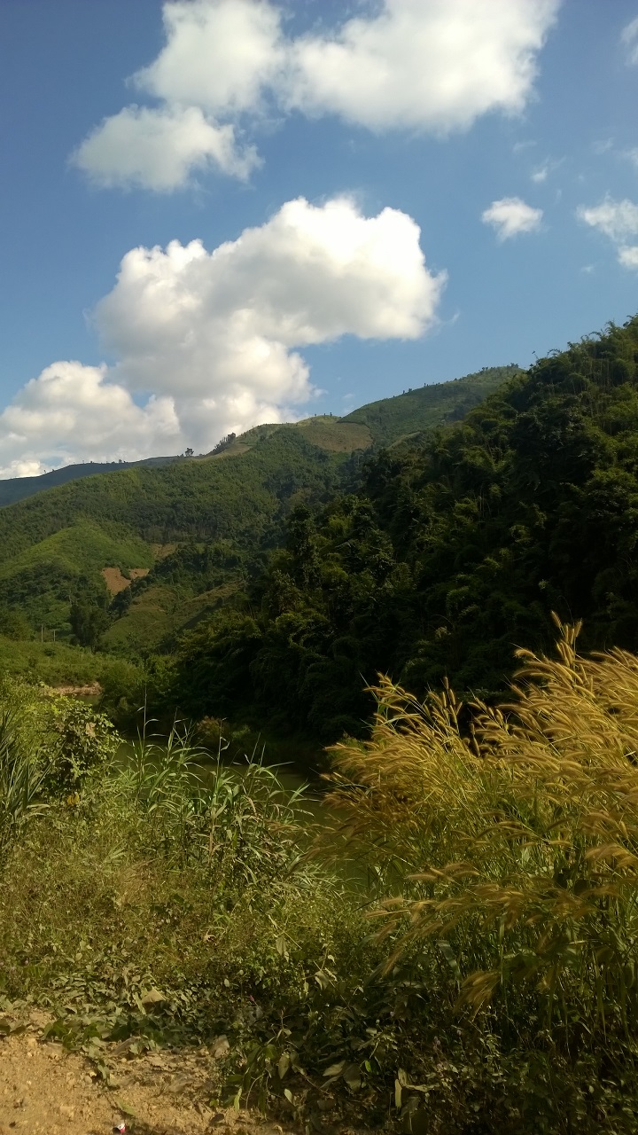 Beruhigender Ausblick