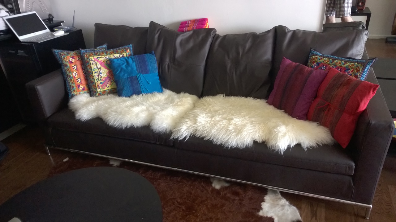 Endlich wieder ein Ledersofa...