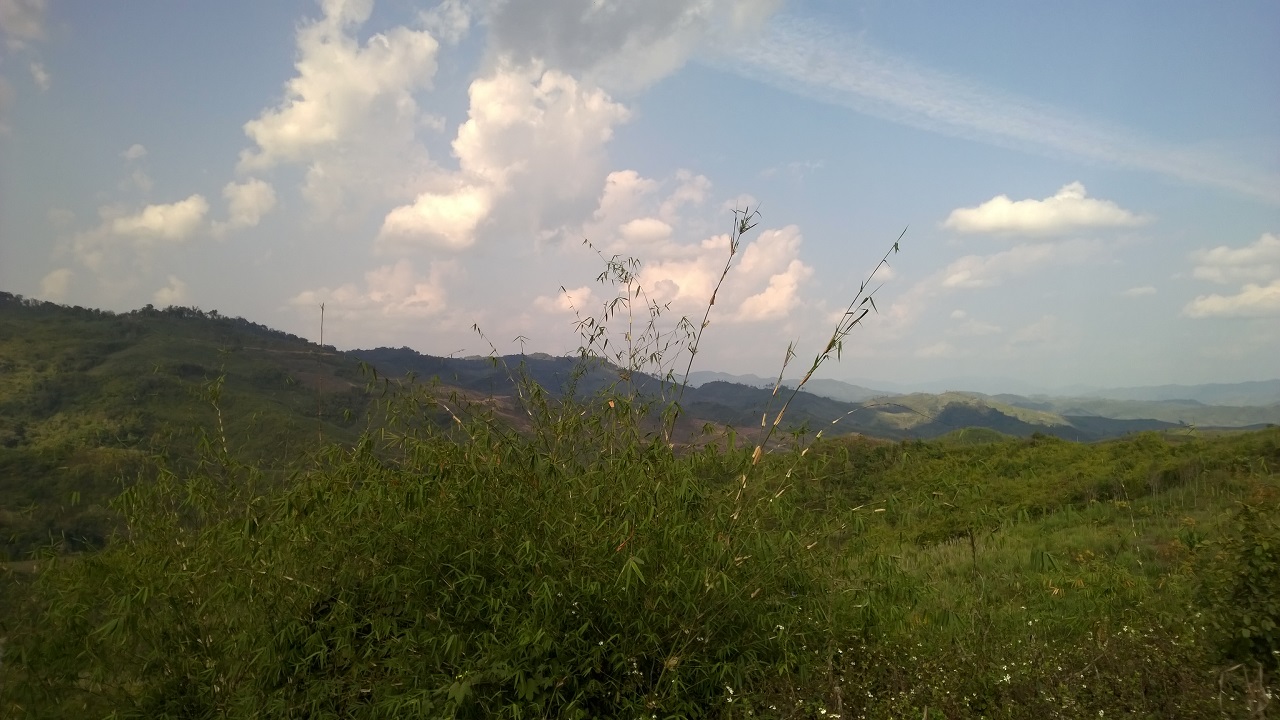 hier stimmten Strasse und Natur...